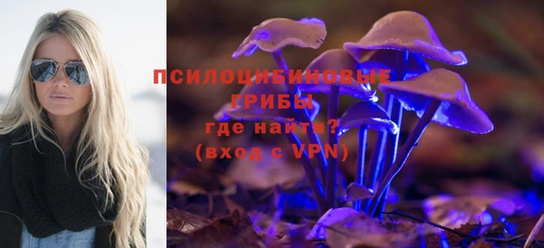 меф Гусь-Хрустальный