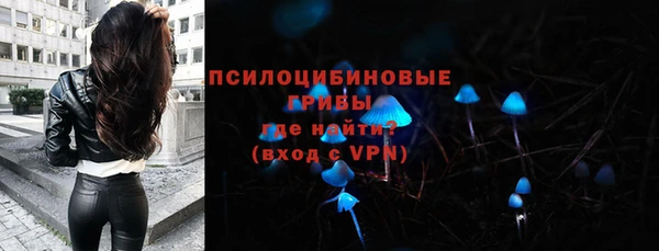 меф Гусь-Хрустальный