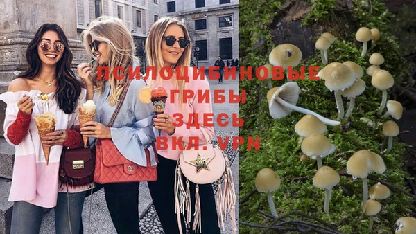 меф Гусь-Хрустальный