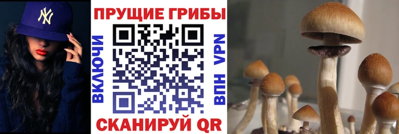 Псилоцибиновые грибы прущие грибы  Усть-Илимск 