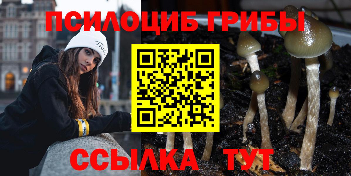 Галлюциногенные грибы мицелий Усть-Илимск