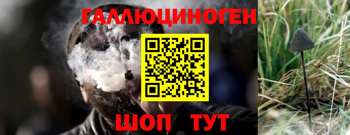 Псилоцибиновые грибы мицелий  Вход с VPN  Усть-Илимск 